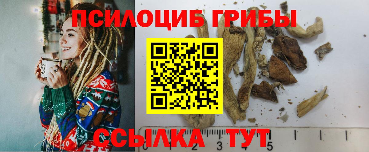 купить  цена  Псилоцибиновые грибы MAGIC MUSHROOMS  Вход с VPN  Псилоцибиновые грибы мицелий  Усолье-Сибирское 